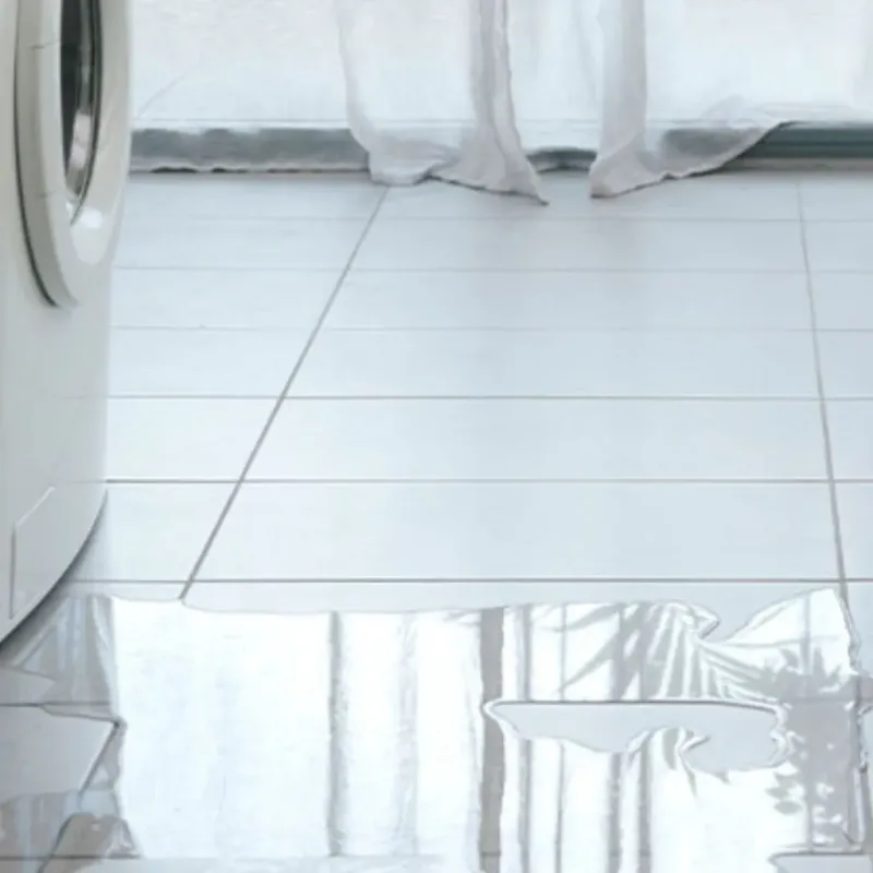 Appliance Leak Cleanup in Battle Ground, WA